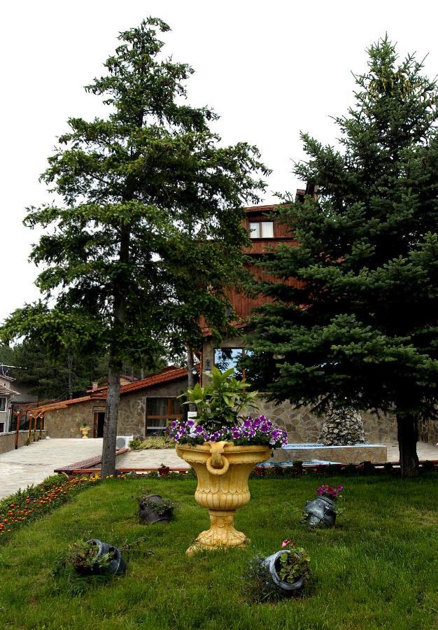 Хотел Галина Палас Srem Exterior photo