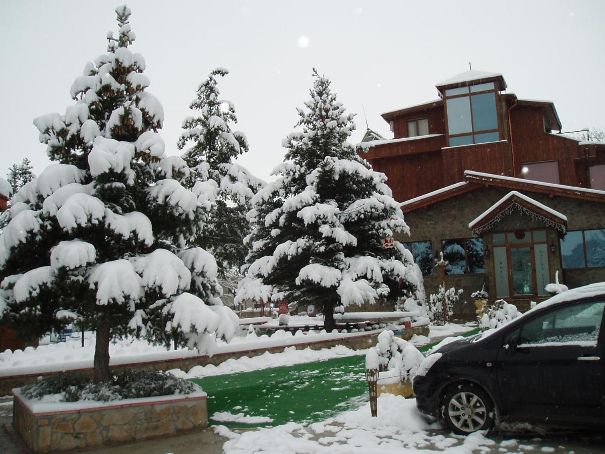 Хотел Галина Палас Srem Exterior photo